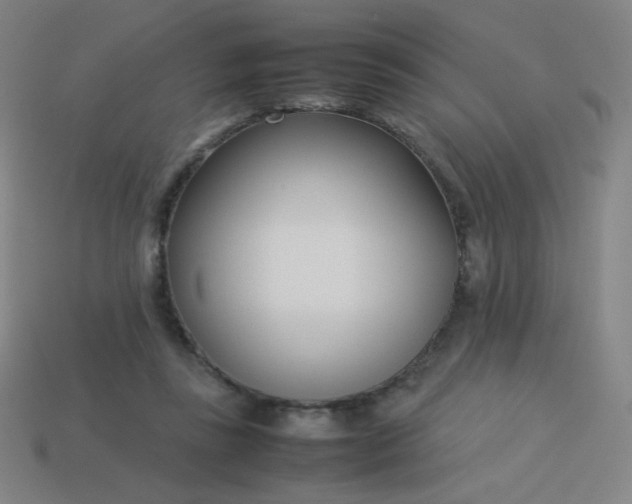 X0000114060355200910191506