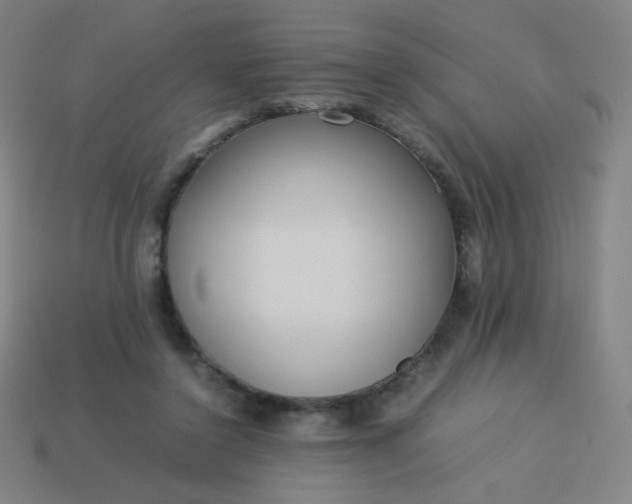 X0000114060356200910191506