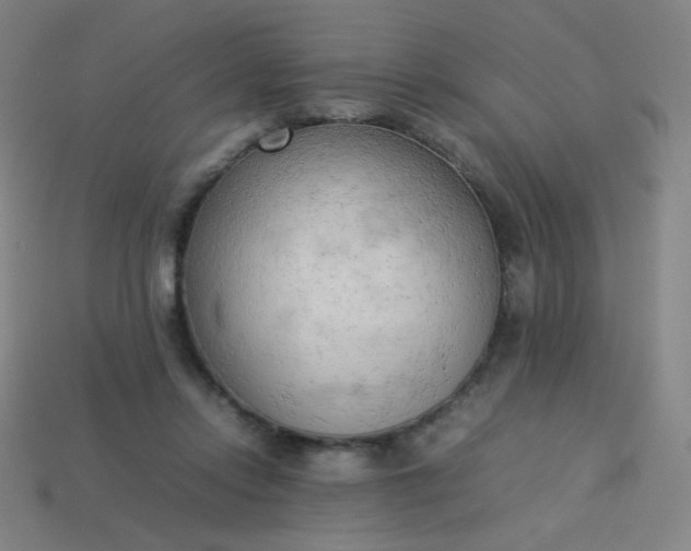 X0000114060358200910191506