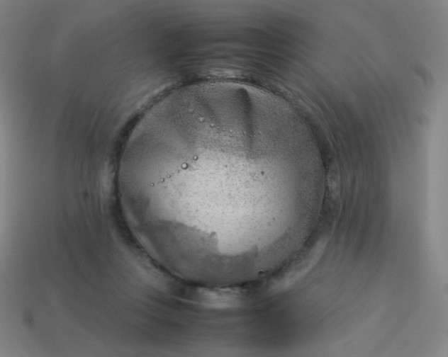 X0000114060359200910191506