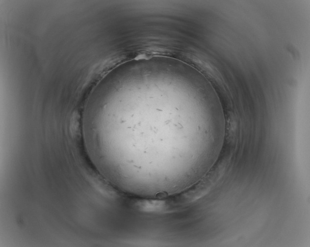 X0000114060361200910191506