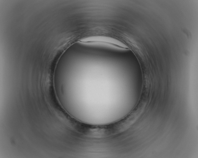 X0000114060362200910191506