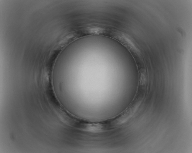 X0000114060363200910191506