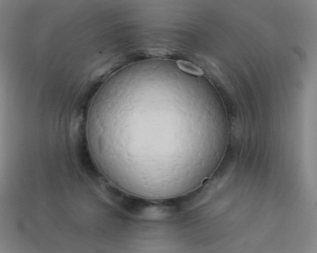 X0000114060364200910191506