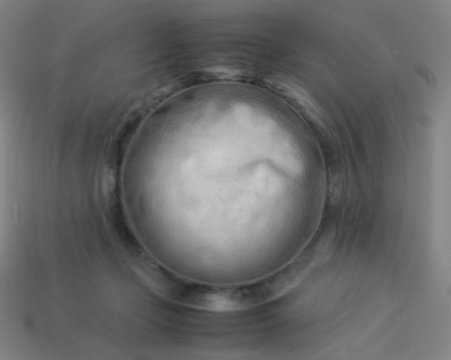 X0000114060365200910191506