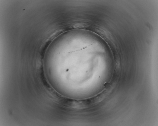 X0000114060367200910191506