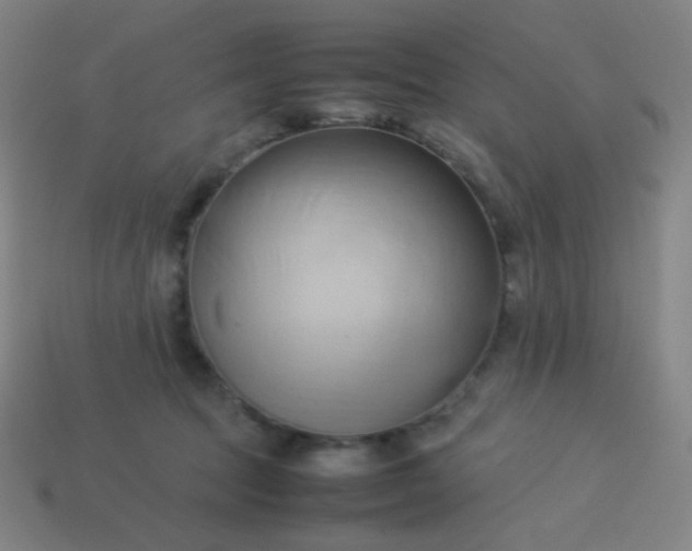 X0000114060369200910191506