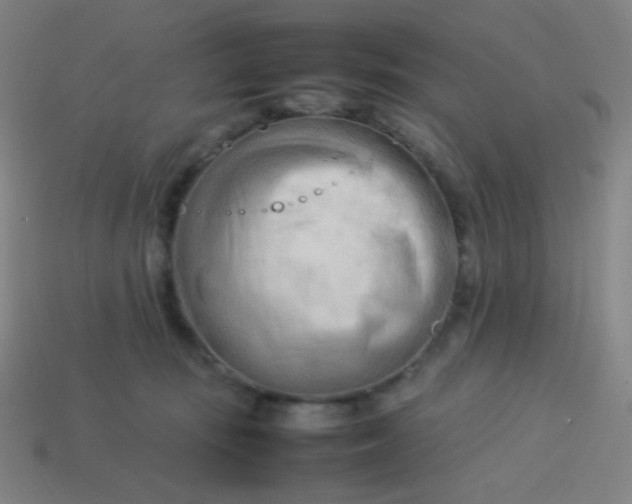 X0000114060371200910191506