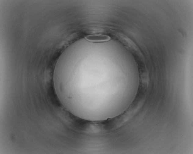 X0000114060372200910191506