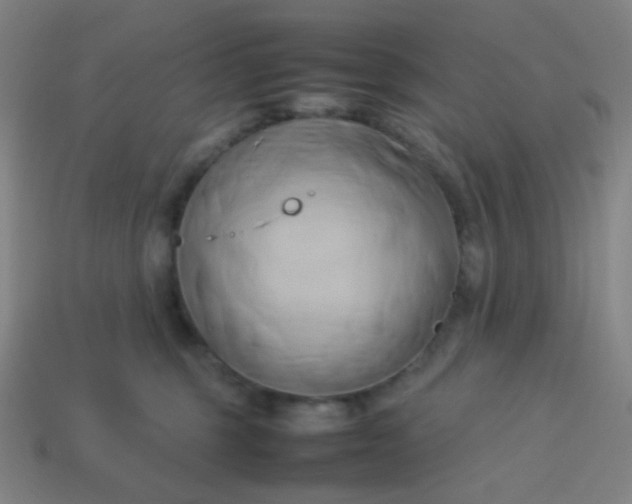 X0000114060375200910191506