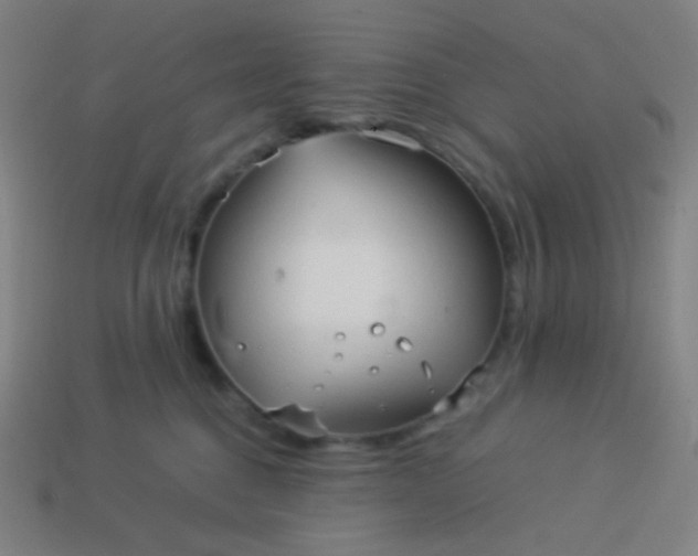 X0000114060376200910191506