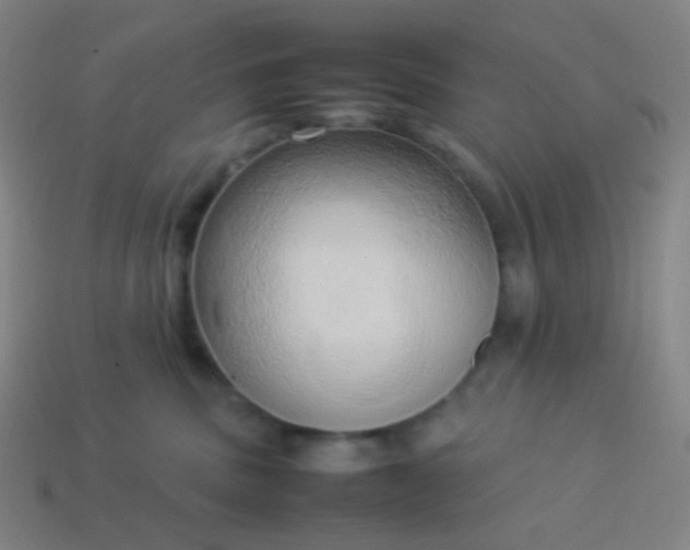 X0000114060379200910191506