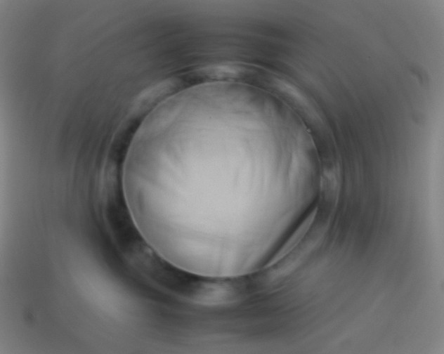 X0000114060381200910191506