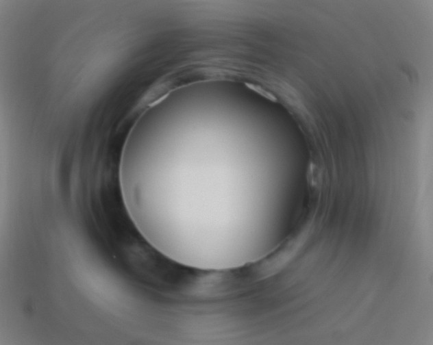 X0000114060382200910191506