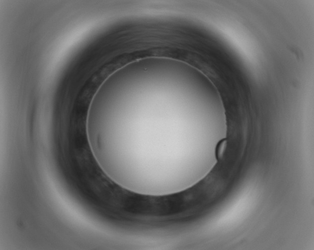 X0000114060383200910191506