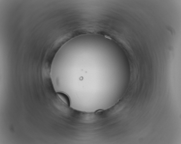 X0000114060384200910191506