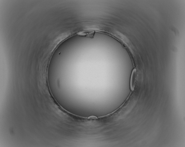 X0000114060385200910191506