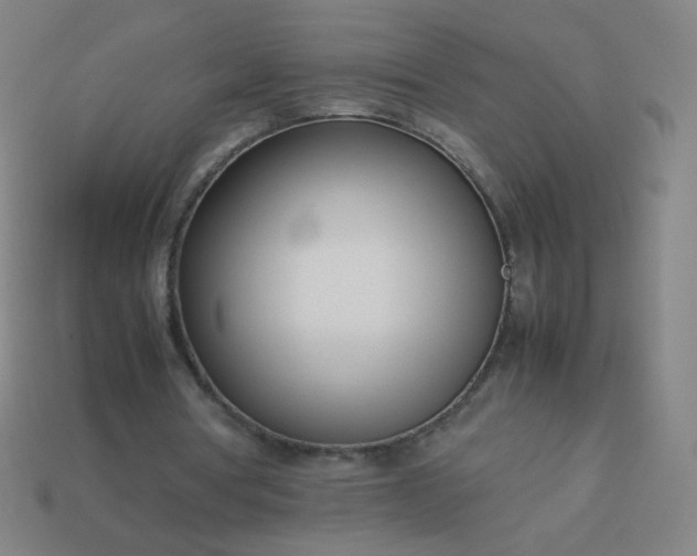 X0000114060386200910191506