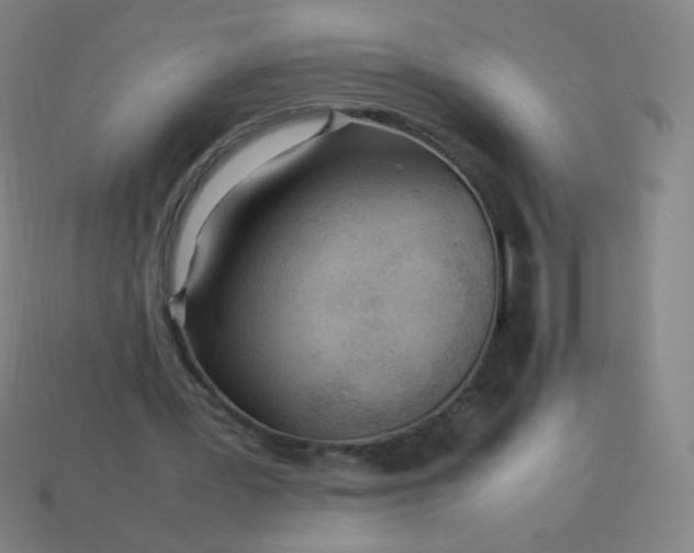 X0000114060387200910191506