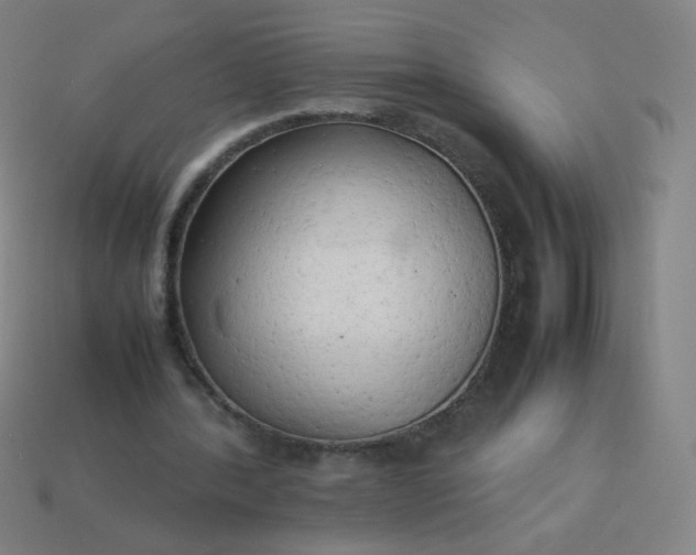 X0000114060388200910191506