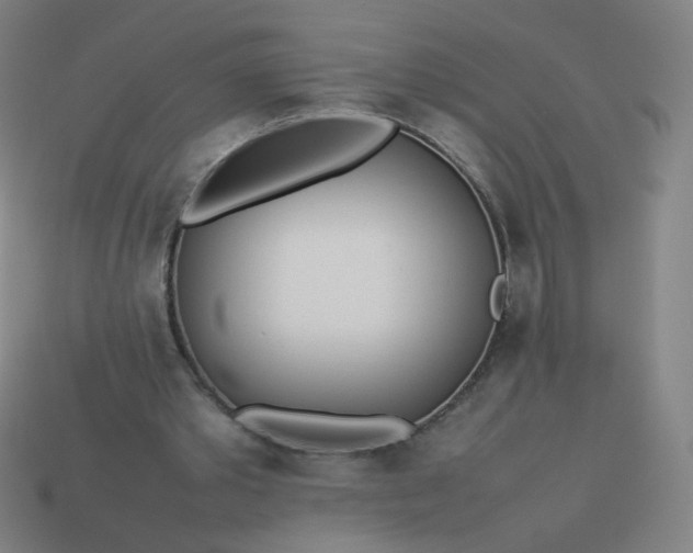 X0000114060389200910191506