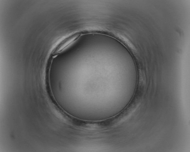 X0000114060391200910191505