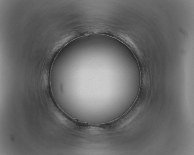 X0000114060393200910191505