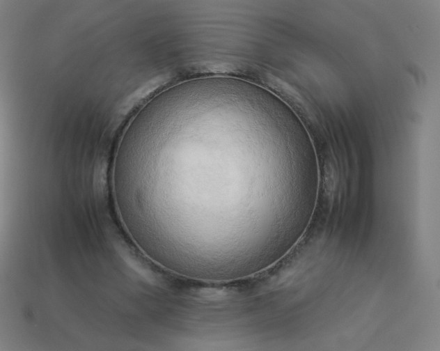 X0000114060394200910191505