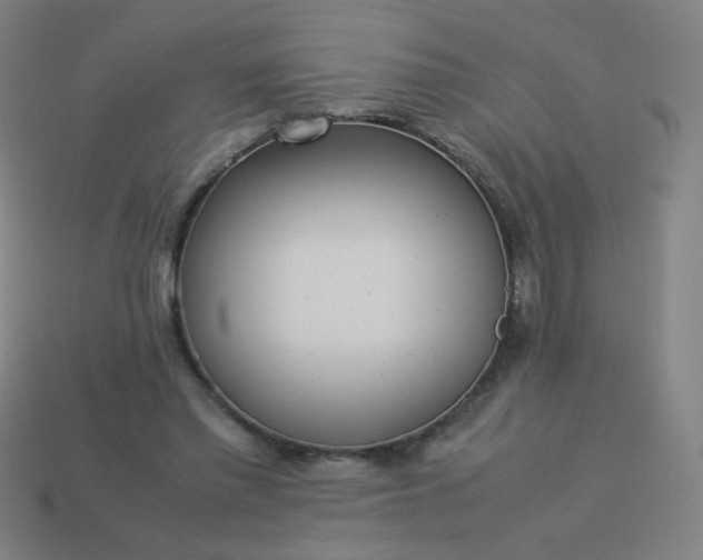 X0000114060397200910191505