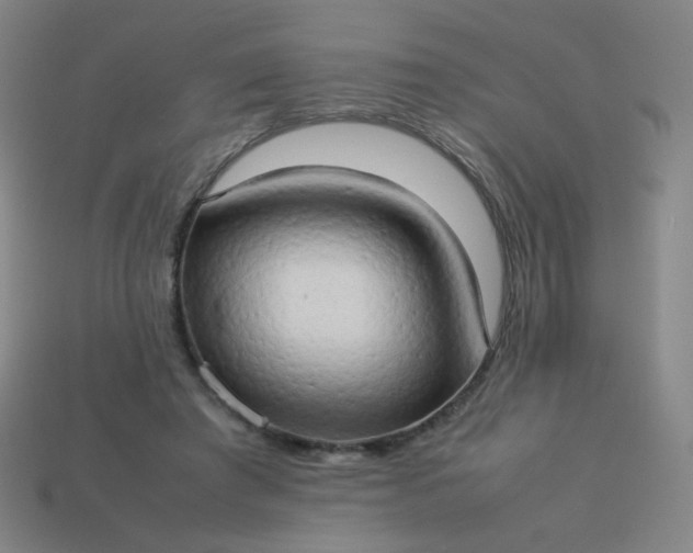 X0000114060401200910191505