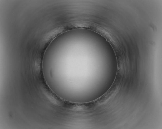 X0000114060402200910191505