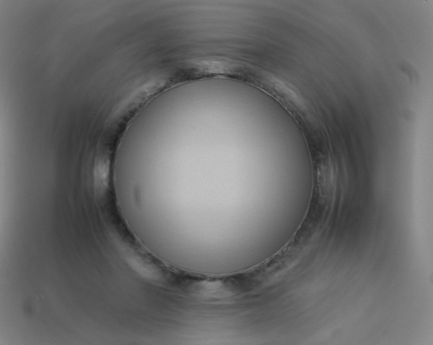 X0000114060406200910191505