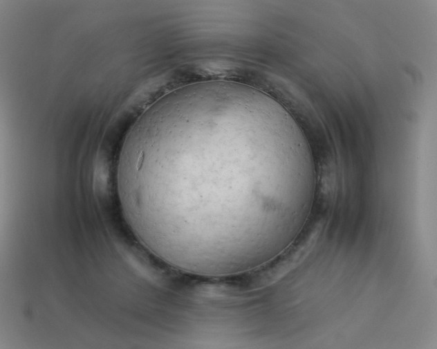 X0000114060408200910191505