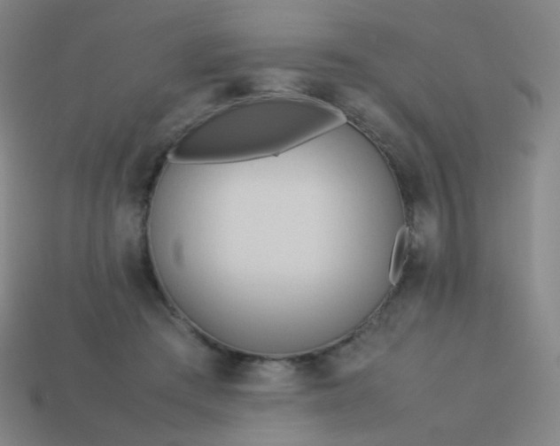 X0000114060409200910191505