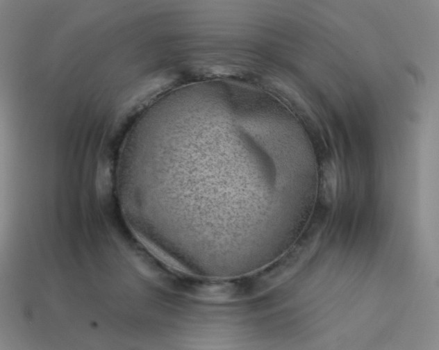 X0000114060410200910191505