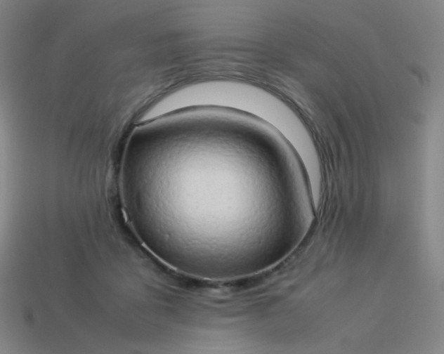 X0000114060411200910191505