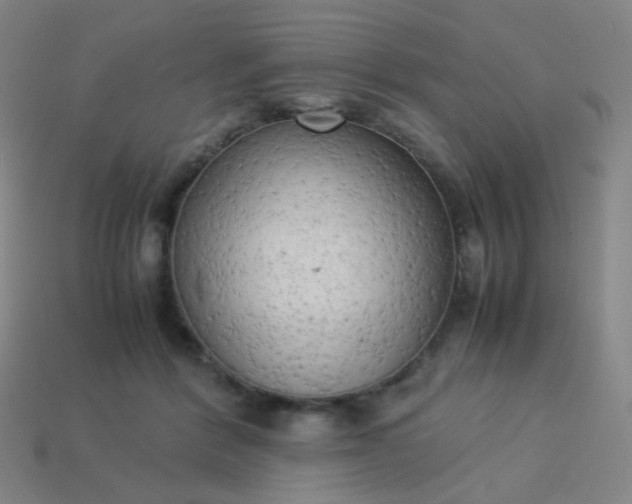 X0000114060412200910191505