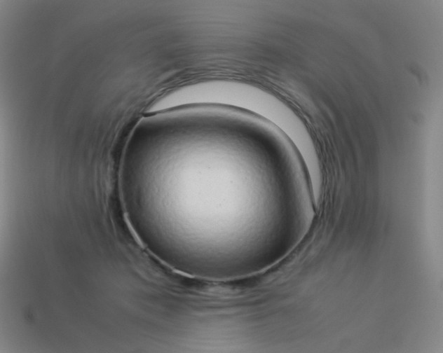 X0000114060413200910191505