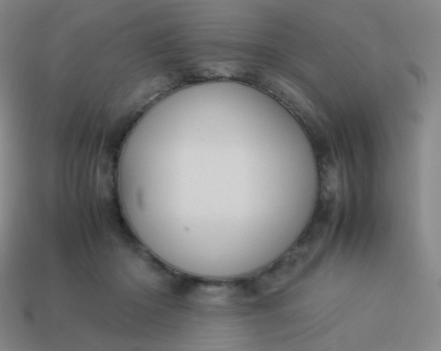 X0000114060414200910191505