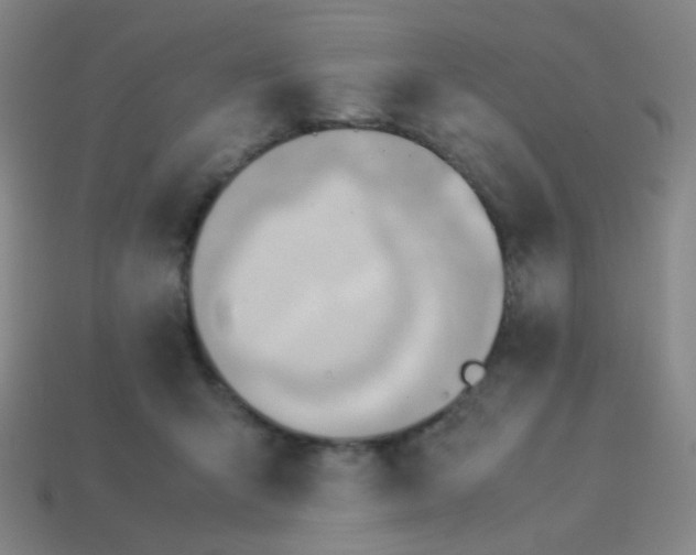 X0000114060415200910191505