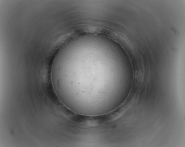 X0000114060416200910191505