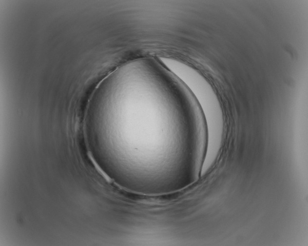 X0000114060417200910191505