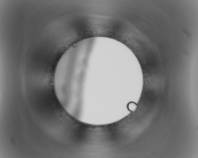 X0000114060419200910191505