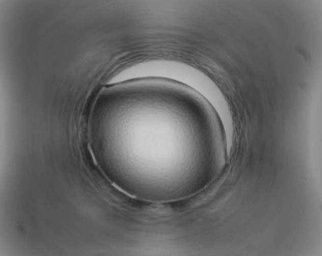 X0000114060421200910191505