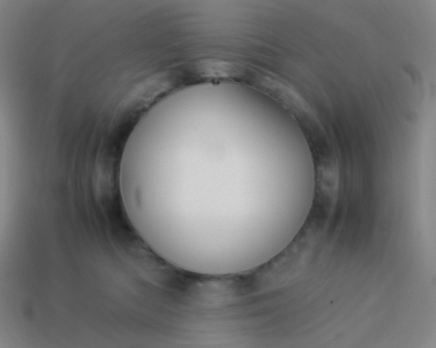 X0000114060422200910191505