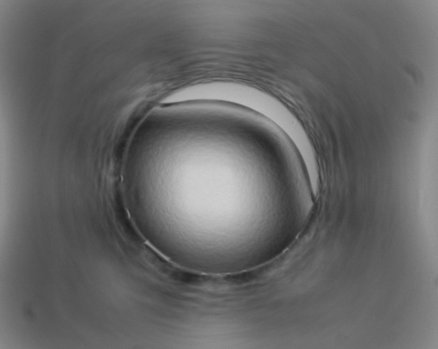 X0000114060423200910191505