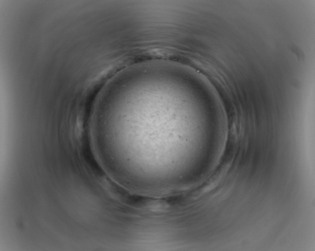 X0000114060424200910191505