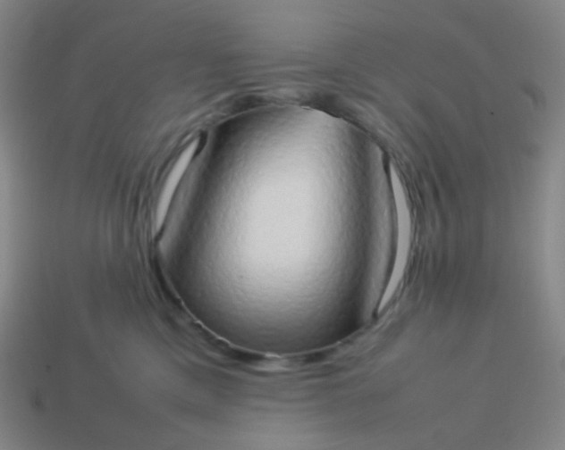 X0000114060425200910191505