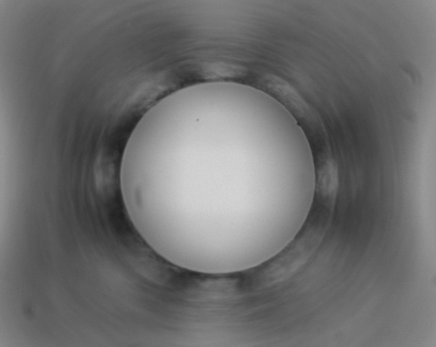 X0000114060426200910191505