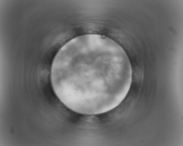 X0000114060427200910191505